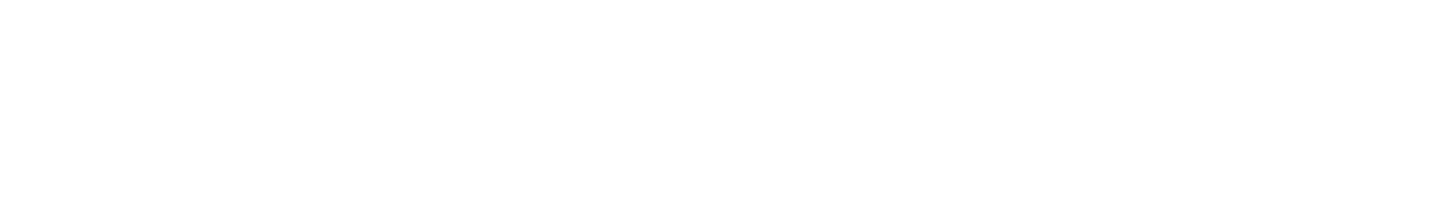 Último Superviviente